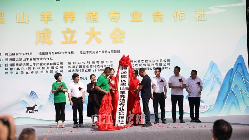 一只羊的破局之路：165名养殖户携手，内江威远黑山羊产业“羊”帆起航