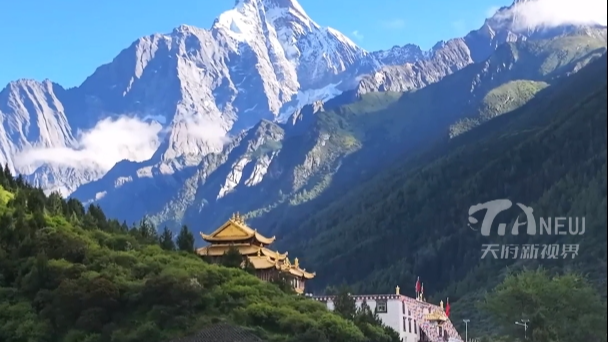 坐标四川！“安逸”DNA才最好嗑……