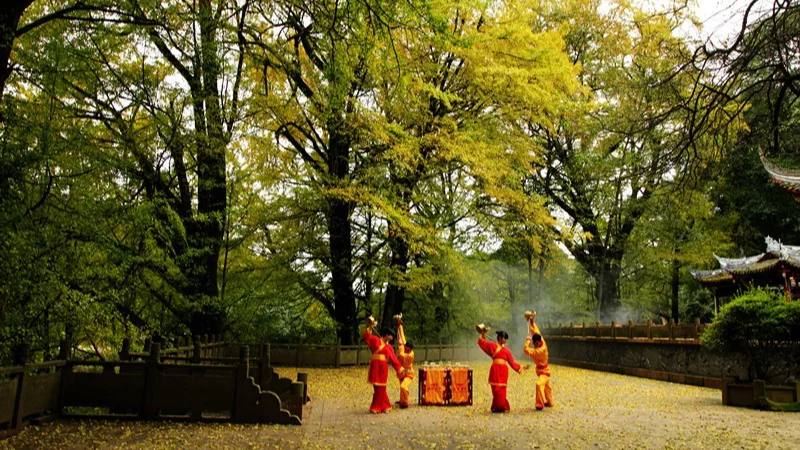 巴蜀非遗丨不是“降龙十八掌”，是“龙行十八式”