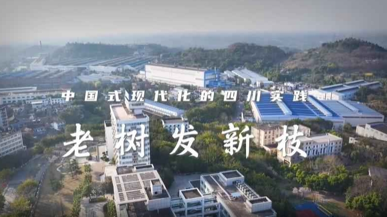 理响巴蜀丨中国式现代化的四川实践——老树发新枝