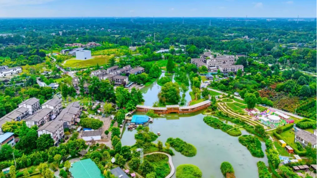 微周刊｜成都区（市）县党政“一把手”本周在忙啥