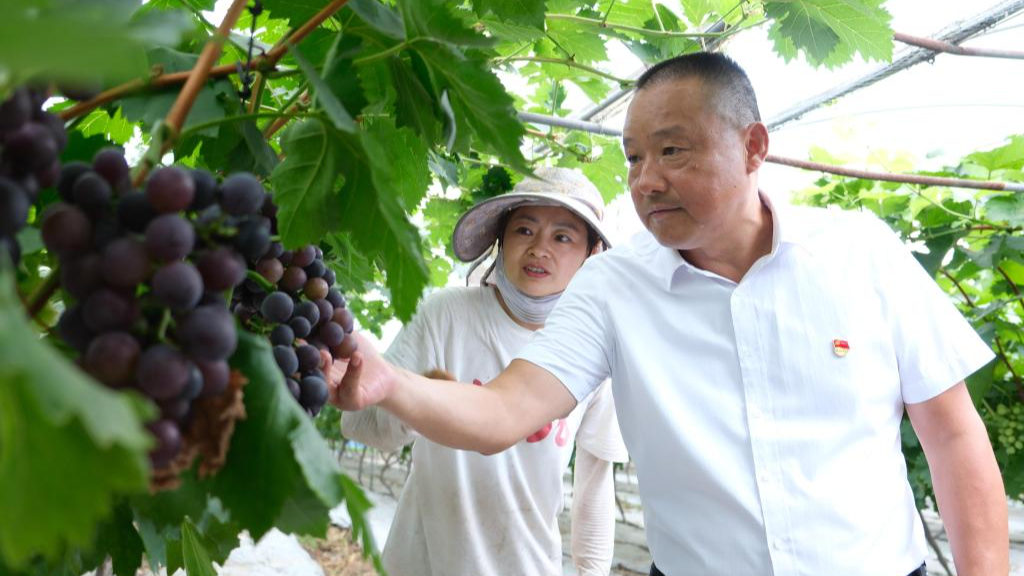 央媒看四川丨退伍军人当书记，带出一个亿元村