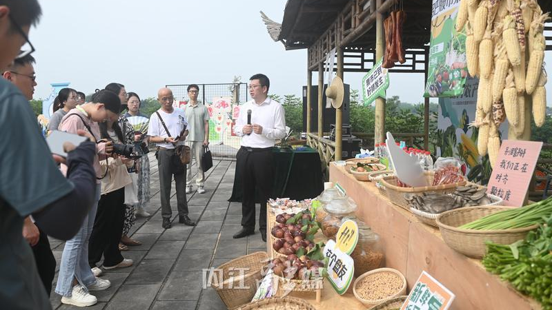 在果园开麦！内江这场“土味”发布会果香里飘出“镇”兴经