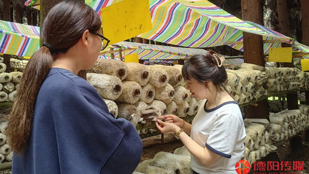 从“潜力股”到“生力军”！“令人心动的乡村offer”如何让青年与乡村“双向奔赴”