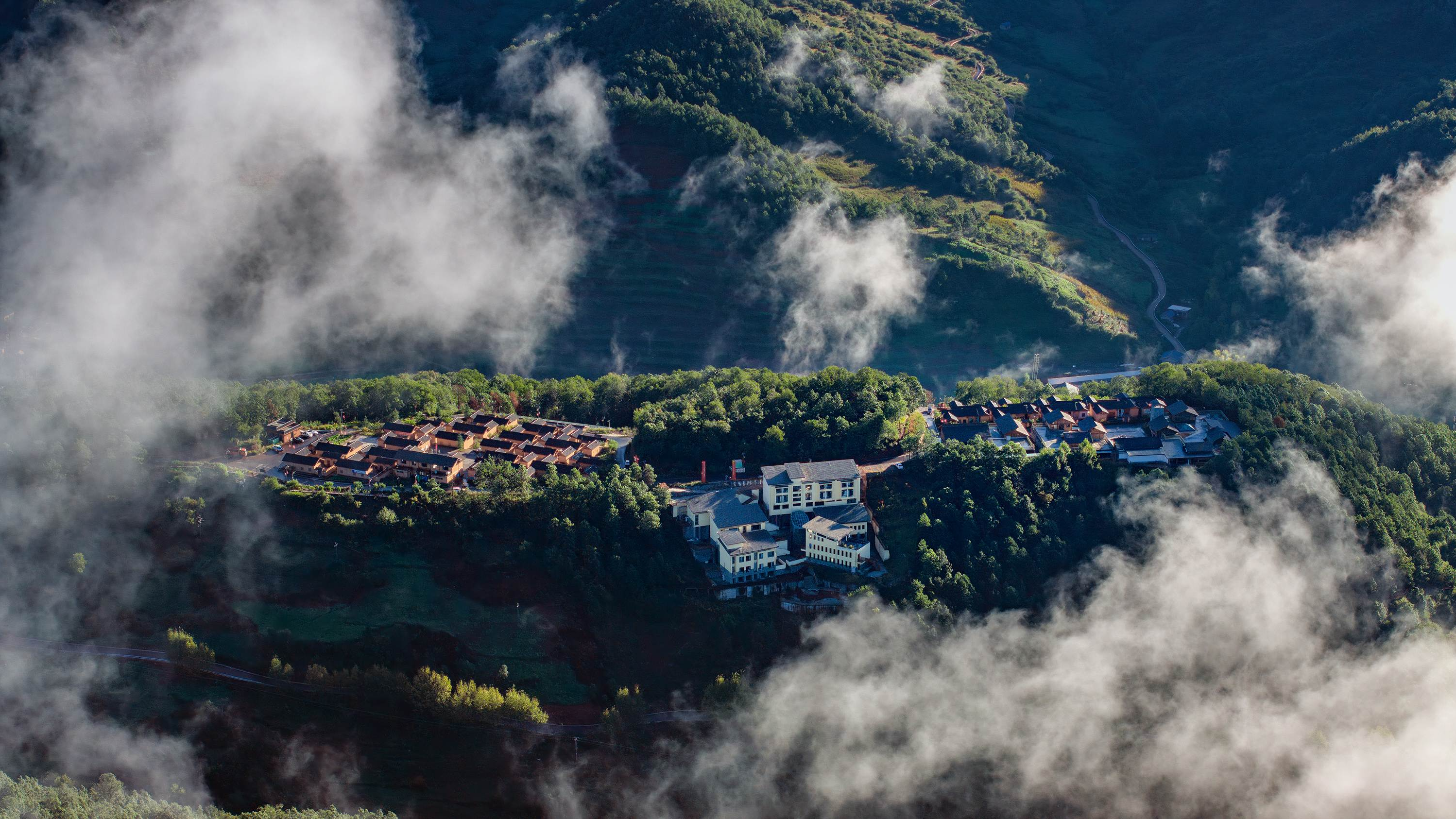 三河村：“党支部+公司+农户”模式专业化运营 三河村富民增收动能强