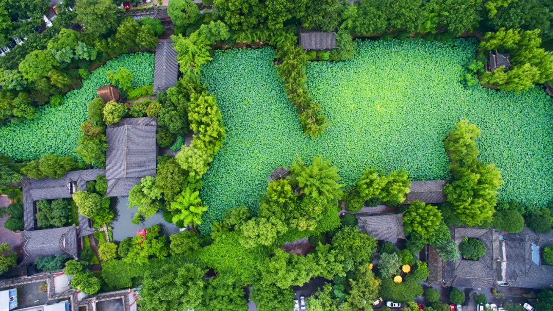 跟着影视游四川丨新都桂湖，“神还原”87版红楼大观园