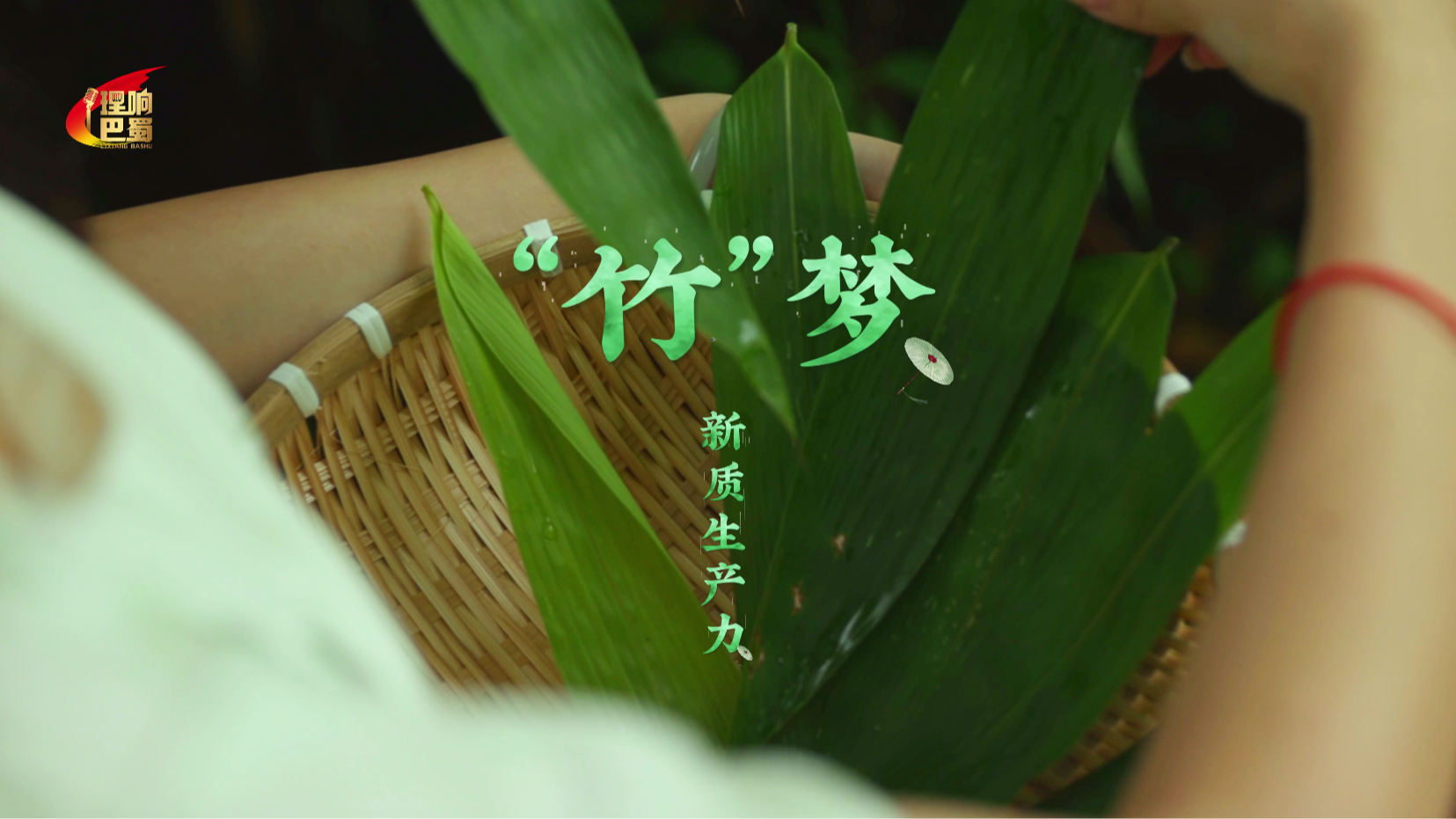 理响巴蜀丨“竹”梦新质生产力
