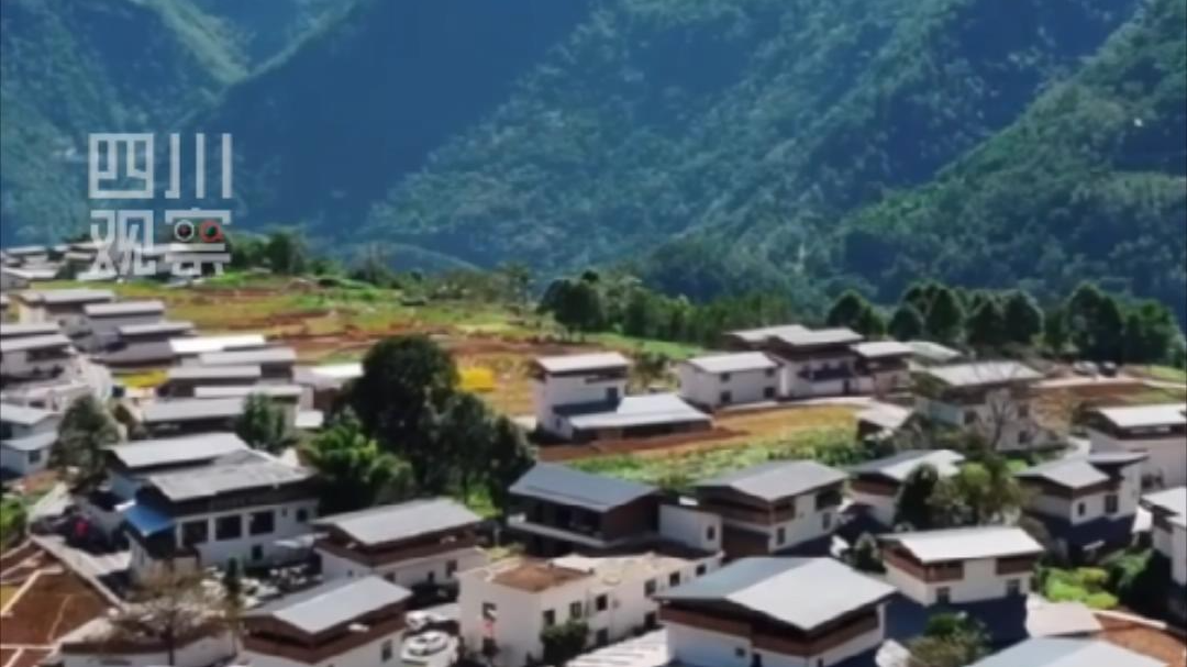 嘿！“荒山沟”这样变“网红村”