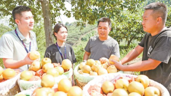 三端协同发力！“广字号”农产品市场更广