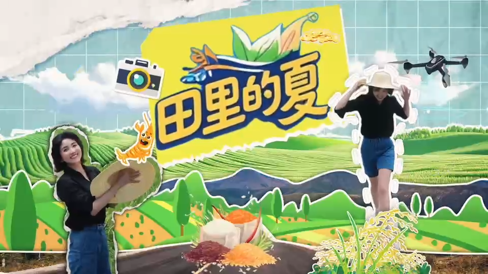 微视频丨敢信？稻田养虾收益翻十倍 走，一起去赚钱！