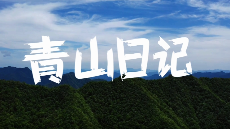 理响巴蜀丨青山日记