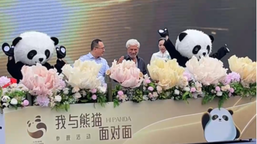 国际团宠！来看“金熊猫”和它的朋友们