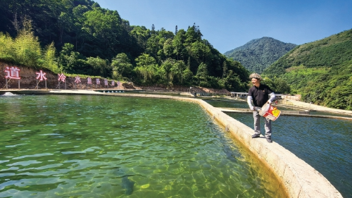 央媒看四川丨大山里“游”出冷水鱼产业链