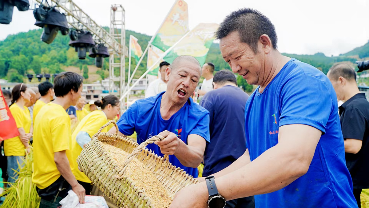 “太会玩”了！泸州这场丰收节活动办在稻田里