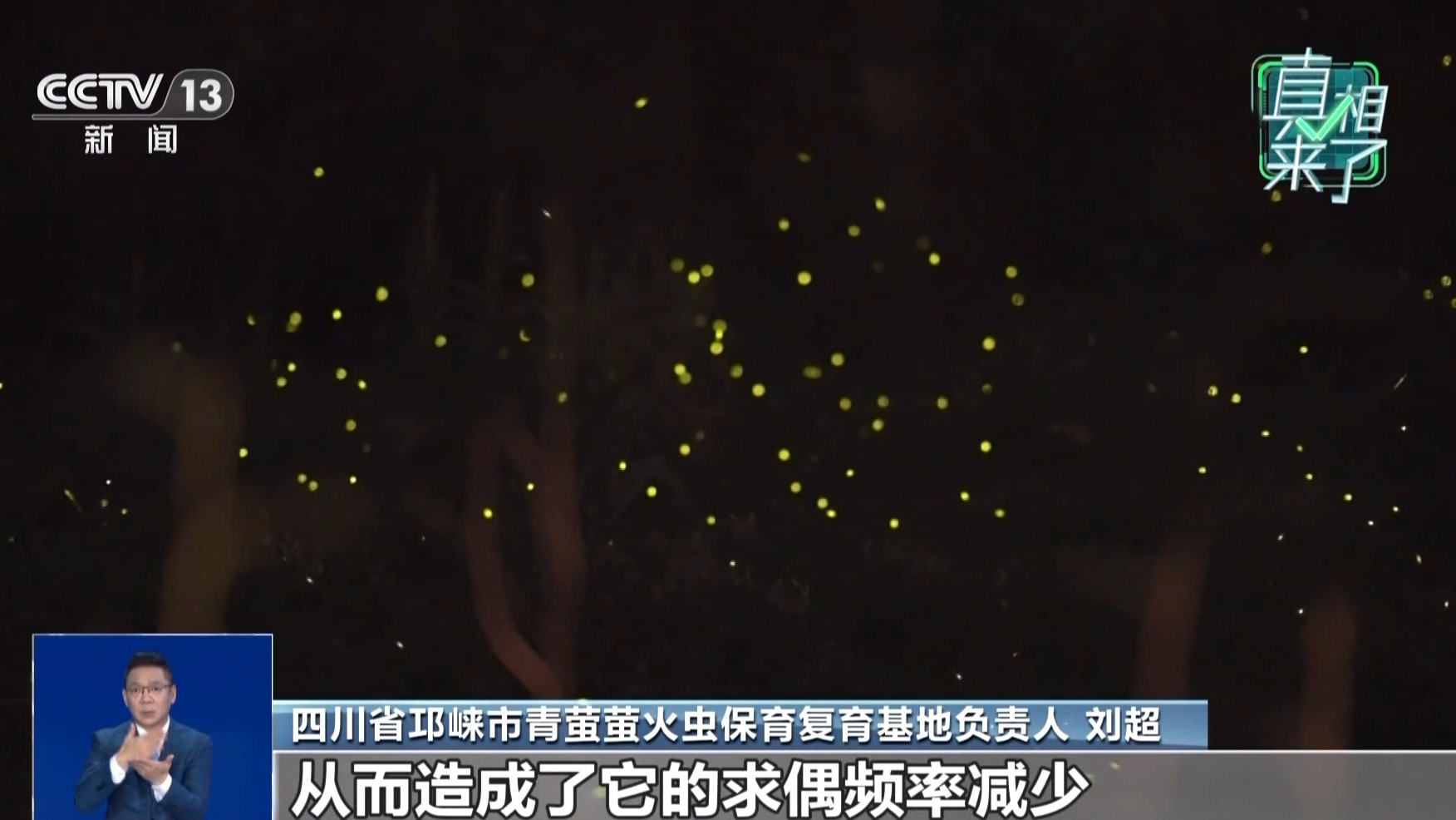 央媒看四川丨邛崃天台山：萤火虫点亮“夜经济”