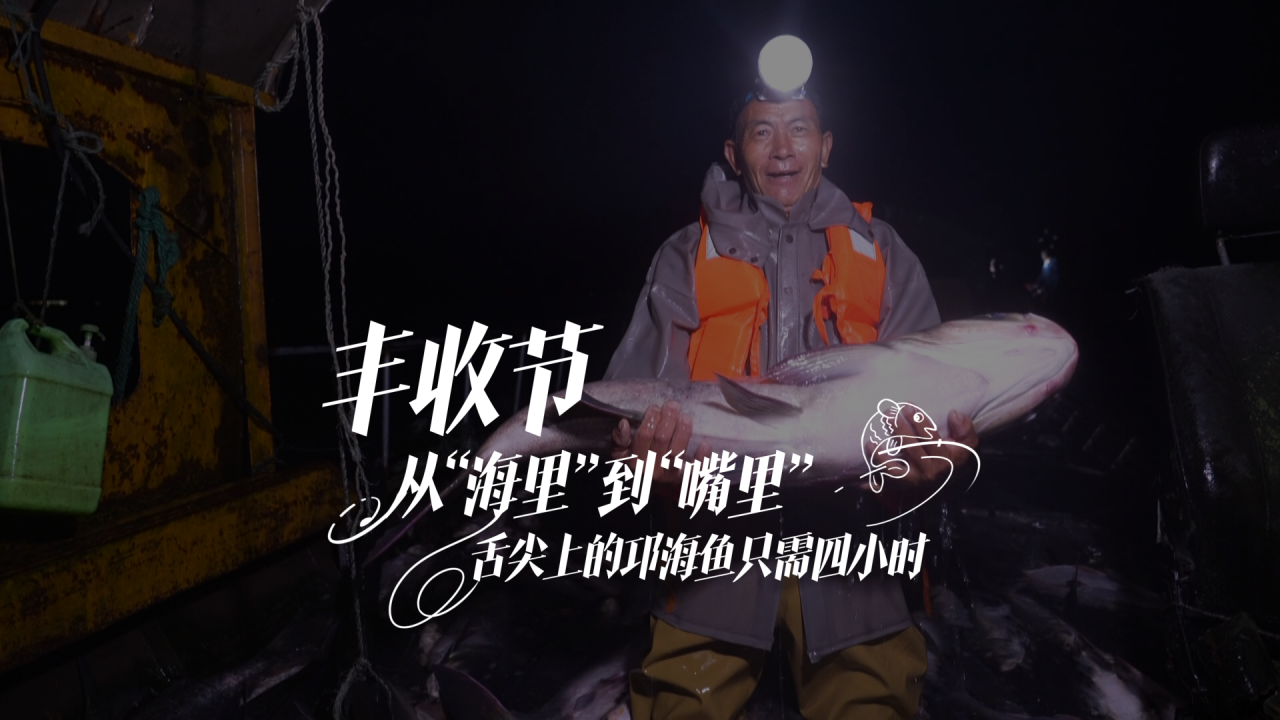 邛海金秋鱼满舱：一条“放心链”串起生态碧波与市民餐桌