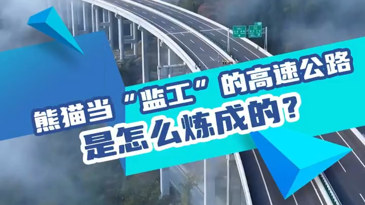 熊猫当“监工”的高速公路，是如何炼成的？