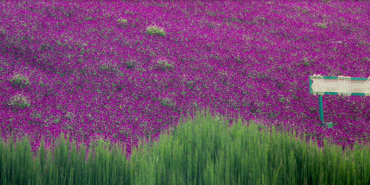 8ed70f73-1dd1-4d86-8d4e-6e17944cc989.png