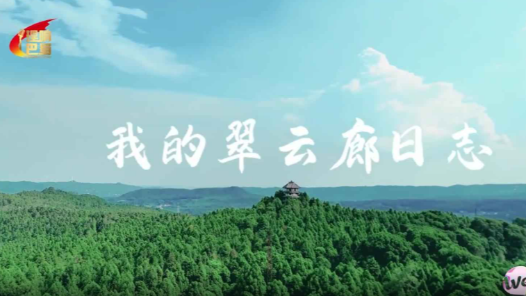 理响巴蜀丨我的翠云廊日志