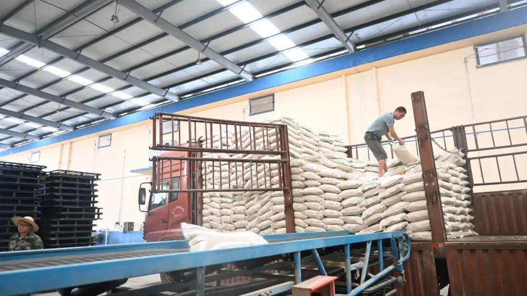 世界粮食日丨眉山：从田间到餐桌 书写爱粮节粮“高分答卷”