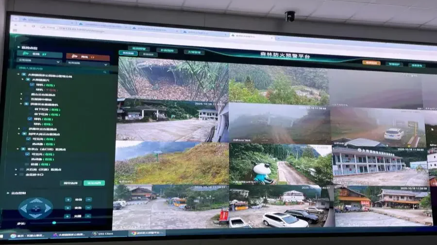 从智慧监测到社区共生：四川大熊猫保护迈入“联盟守护”时代