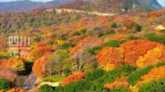 当“长征行”邂逅“红叶季”丨长征路上看四川