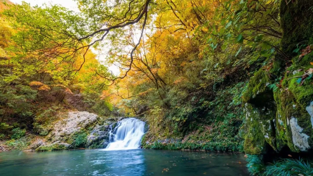 补冬不如补霜降？真相是……