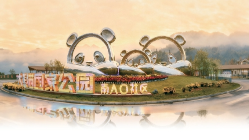 央媒看四川丨从“煤矿村”到“熊猫民宿村”——28只大熊猫怎样带火一个村？