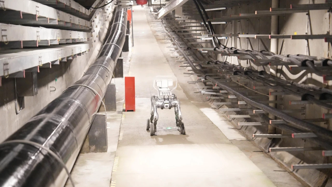 机器狗“上岗”！成都地下综合管廊巡检用上“黑科技”