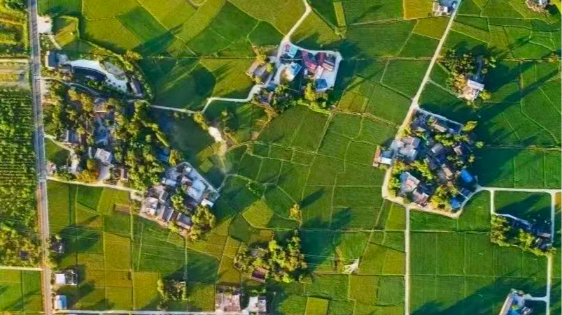 5年来，成都国家“试验田”长出了哪些“成果”？