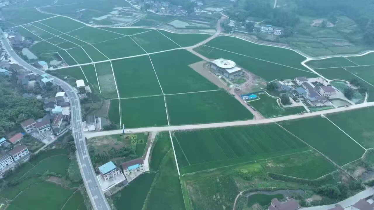 从局部试点到深入推进，四川将如何“整”出乡村新貌？