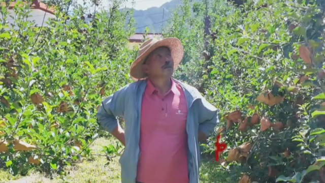 微视频丨我是小金苹果 我的故事从阿爸的“川”字纹开始