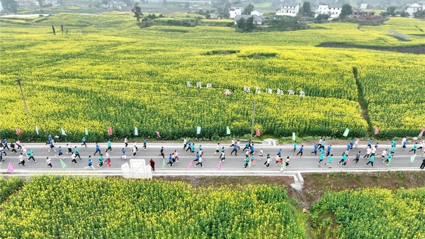 泸县：“文化+”如何让千年古县焕发新生？