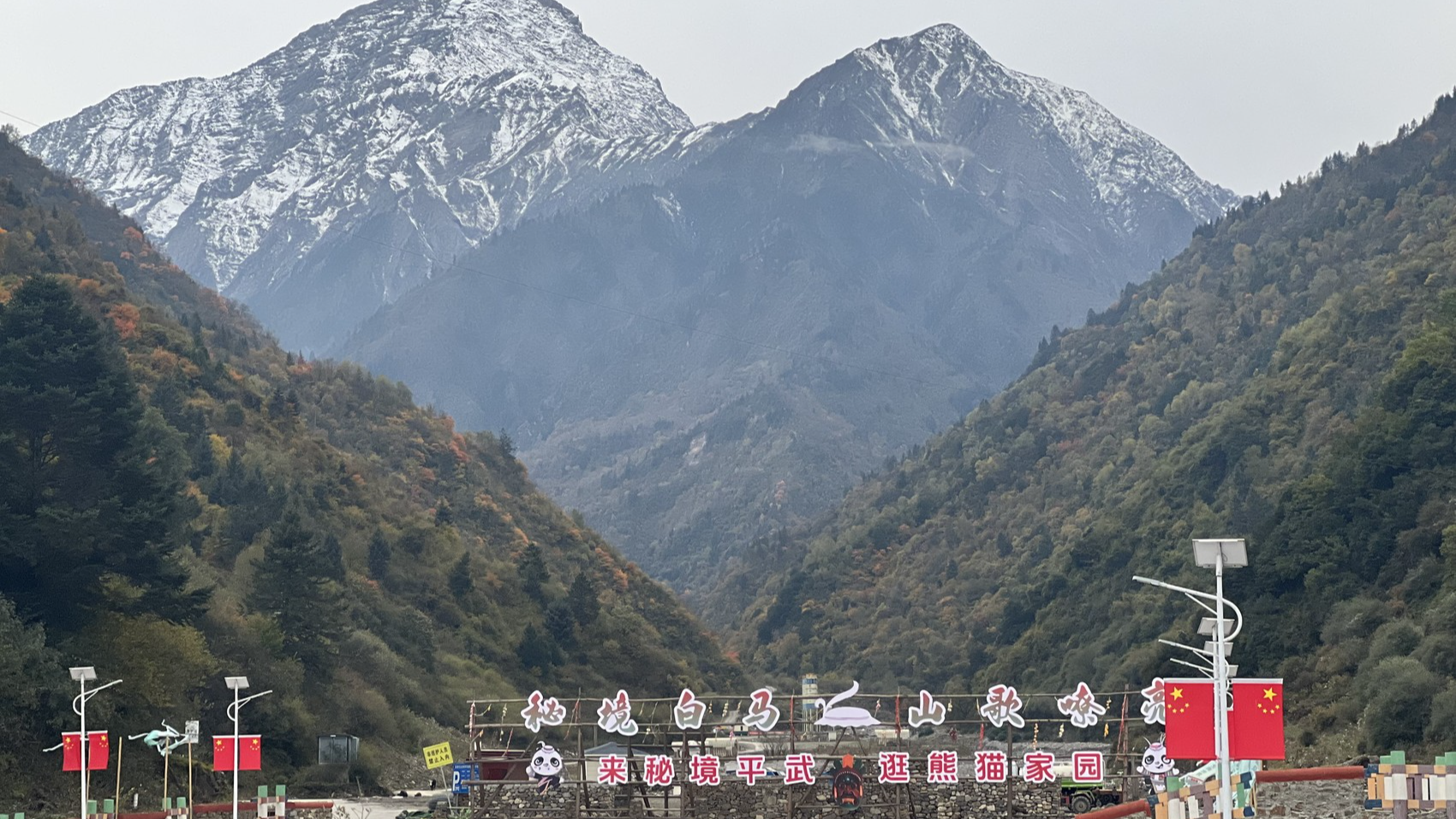 “若恩路”路上话振兴丨学习贯彻党的二十届四中全会精神