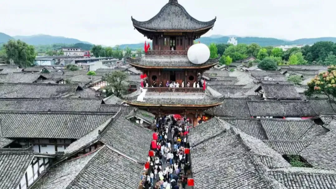 千年“老祖宗”，怎么越活越精神？