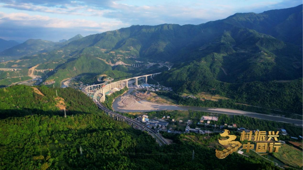 央媒看四川丨熊猫、红鸡……看四川绵阳如何解锁致富新玩法