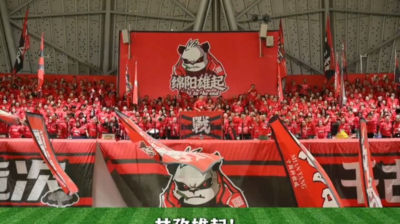 城市野生代言人图鉴｜川超“超”话