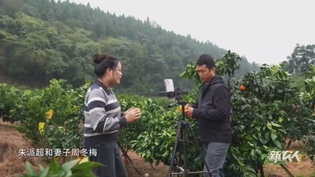 微视频丨柑橘夫妻的“橙”功学