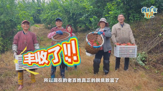 微视频丨归乡种柠檬，她把“家乡味”送出国，也把致富路铺到乡亲家门口