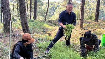 五年蜕变！凉山这座山，从“防火带”到“致富带”的绿色逆袭