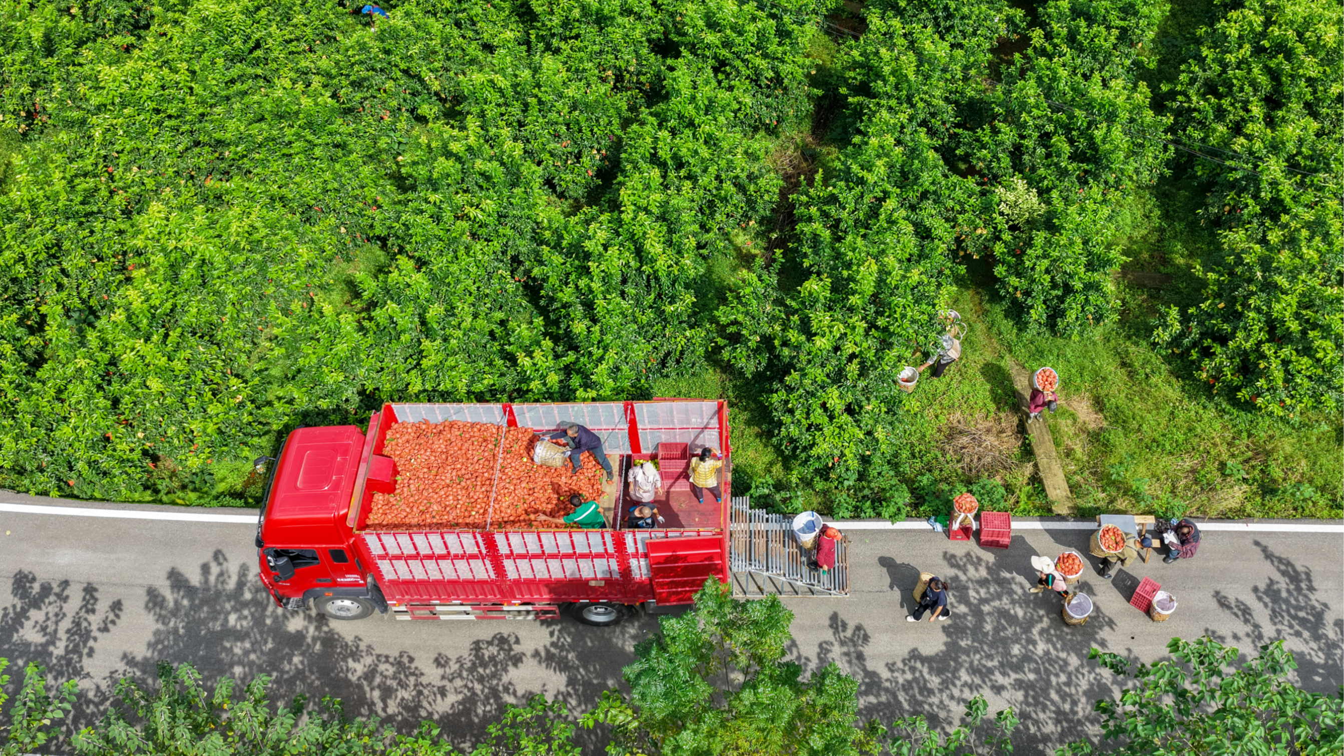 广安：农文旅“融合” 描绘山水画卷