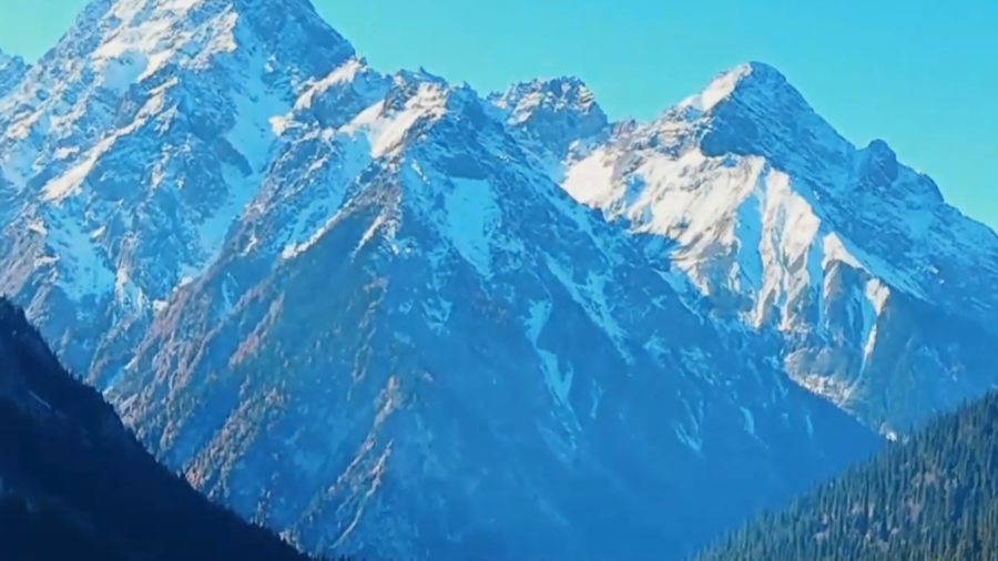 微视频丨秘境王朗，熊猫家园，来邂逅吧！