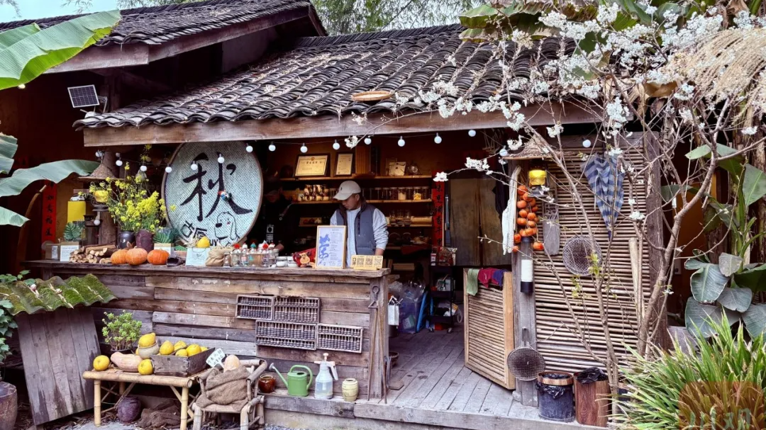 “特种兵式旅游”Out了！现在大家都爱往这种村里跑