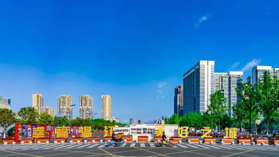 温江区召开2026年基本医保全民参保暨医保基金管理突出问题专项整治工作推进会