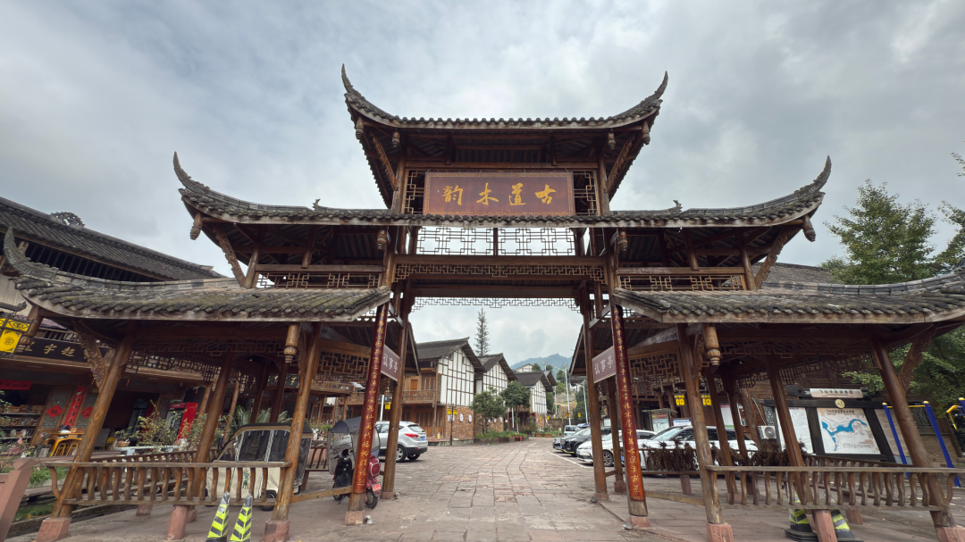 “末梢”活则“全域”兴 雅安探索新村聚居点治理新路