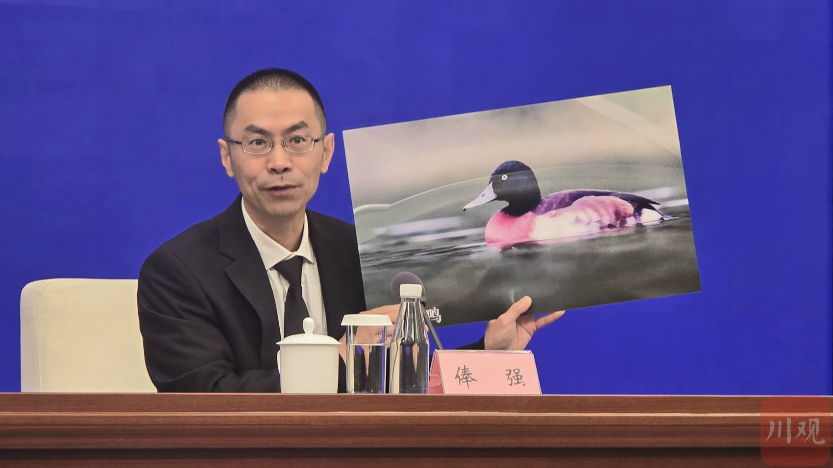 多幅照片诠释四川生物多样性的可喜变化