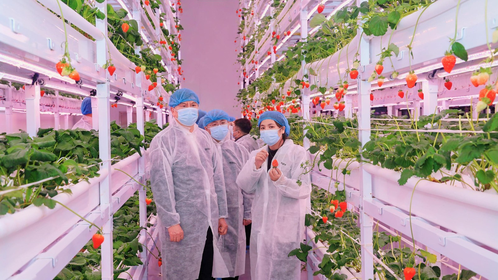 协同创新赋能智慧农业！省市科研院所与温江企业“牵手”～