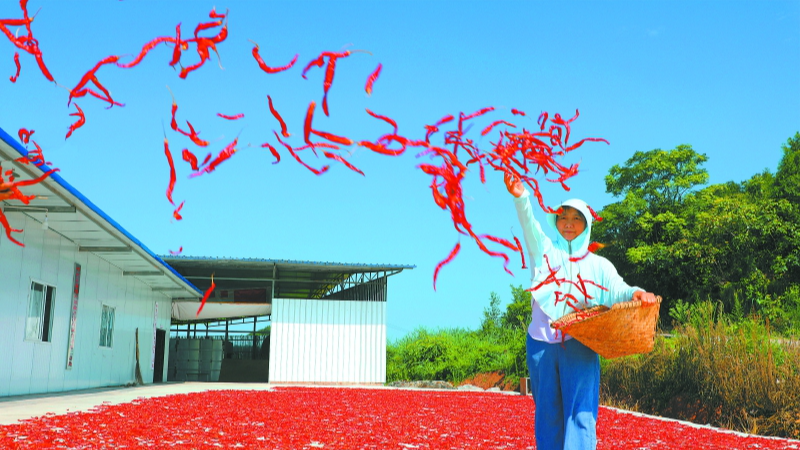 南充：有机四侠闯市场