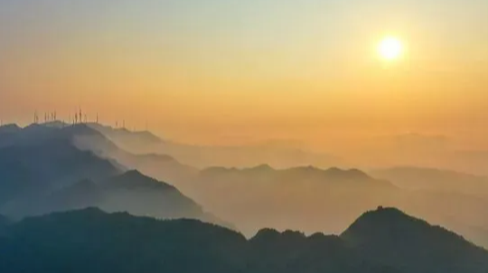 在这片川南森林里，与一亿年前的恐龙“偶遇”