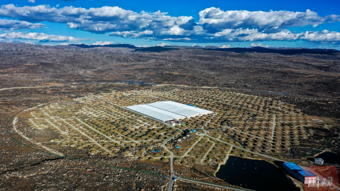 对黑洞有新发现！“拉索”发布两项最新成果